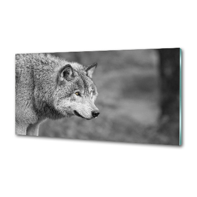 Cooker splashback Gray wolf