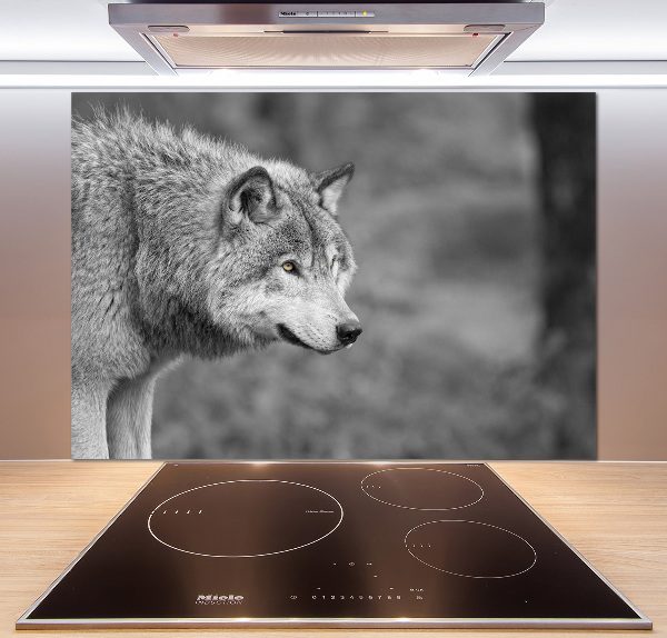 Cooker splashback Gray wolf