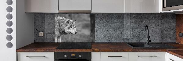 Cooker splashback Gray wolf