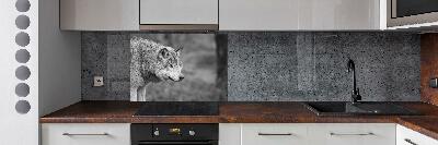 Cooker splashback Gray wolf