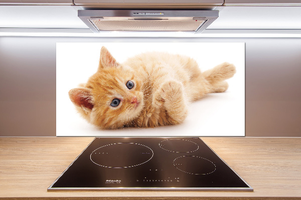 Cooker splashback Red Cat