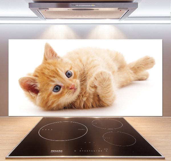 Cooker splashback Red Cat