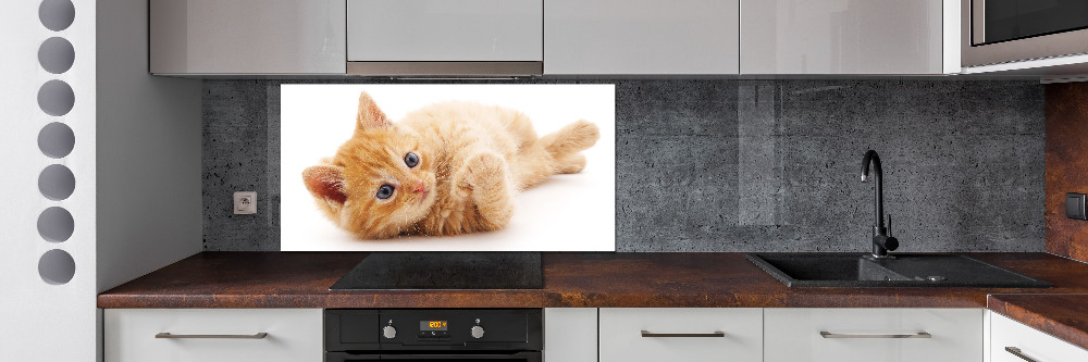 Cooker splashback Red Cat