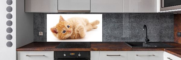 Cooker splashback Red Cat