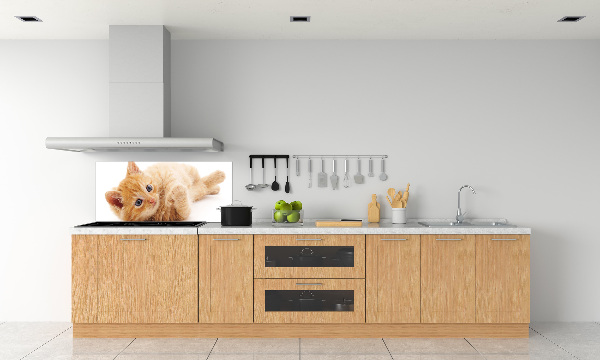 Cooker splashback Red Cat