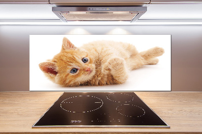 Cooker splashback Red Cat