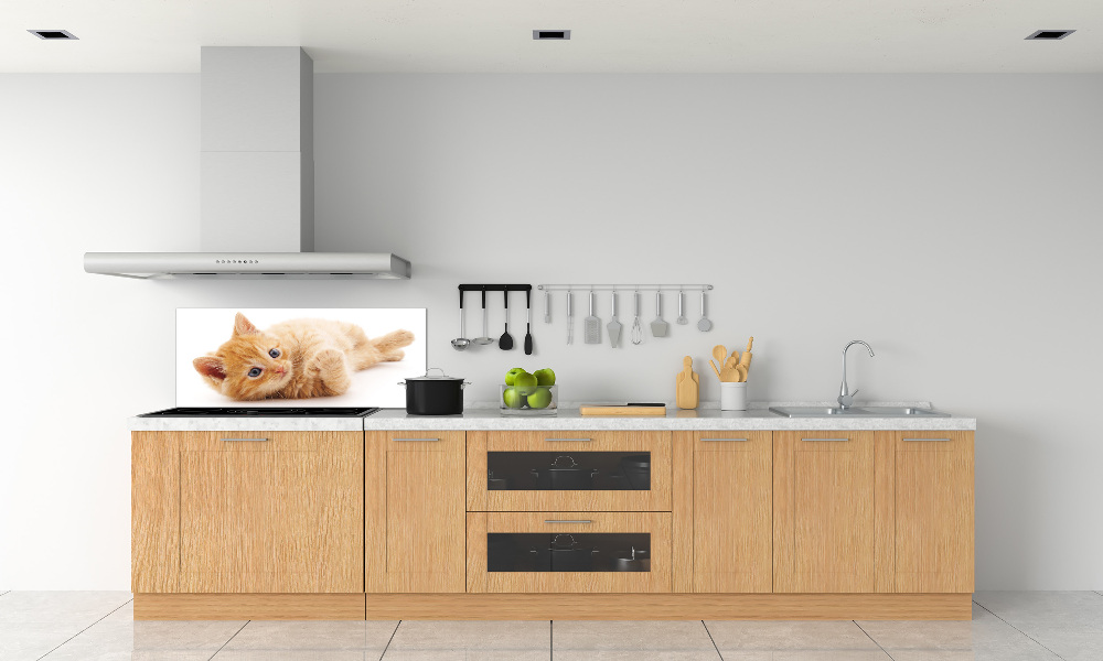 Cooker splashback Red Cat