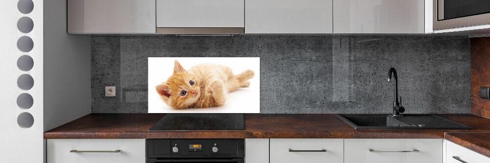 Cooker splashback Red Cat