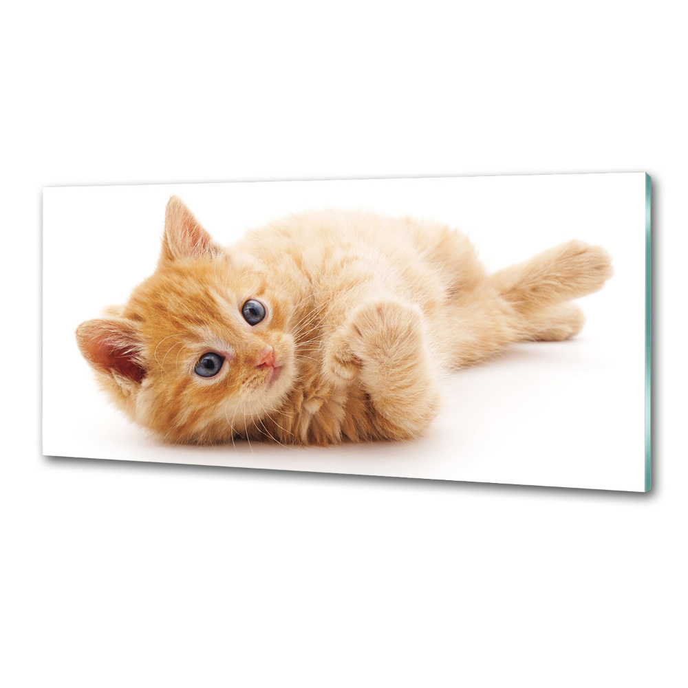 Cooker splashback Red Cat