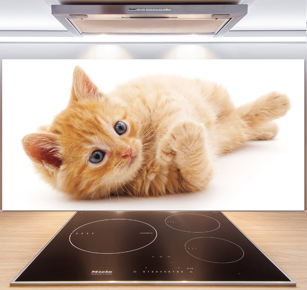 Cooker splashback Red Cat