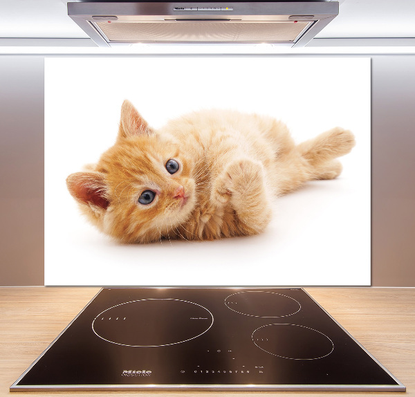 Cooker splashback Red Cat