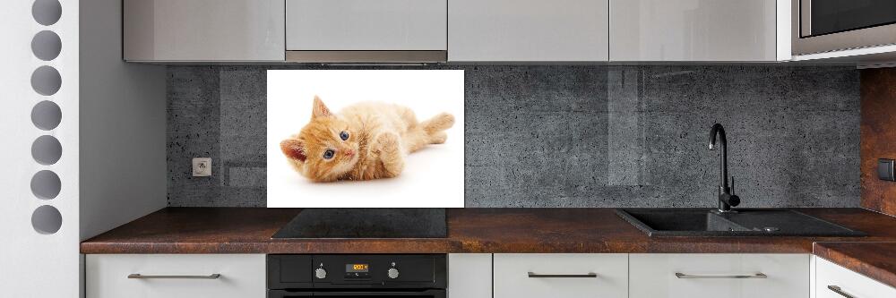 Cooker splashback Red Cat