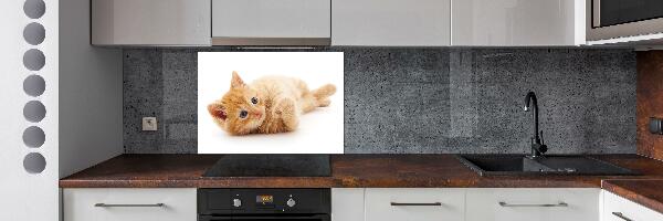 Cooker splashback Red Cat