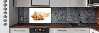 Cooker splashback Red Cat