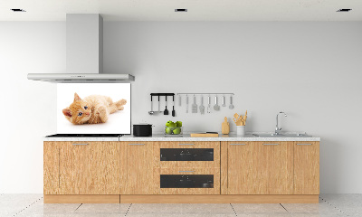 Cooker splashback Red Cat