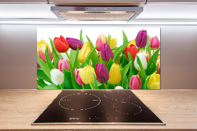 Cooker splashback Colorful tulips