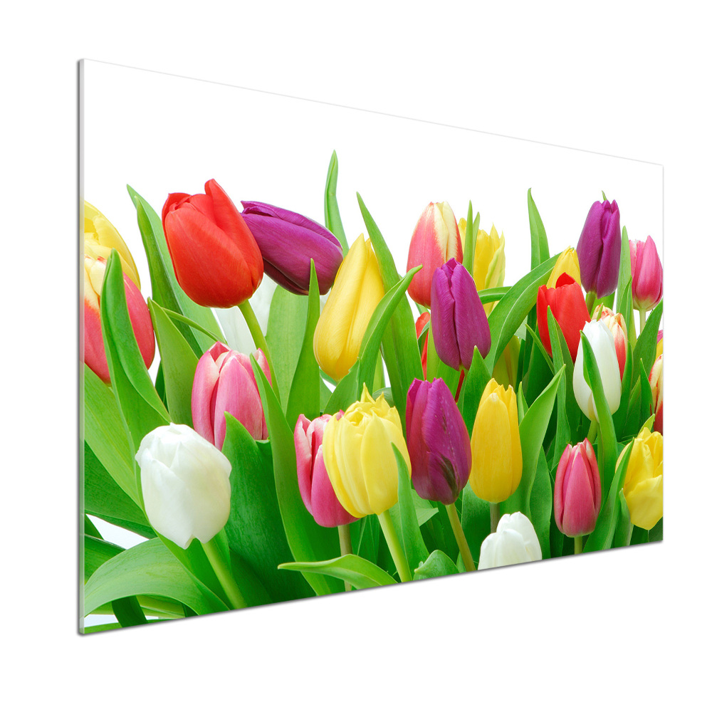 Cooker splashback Colorful tulips