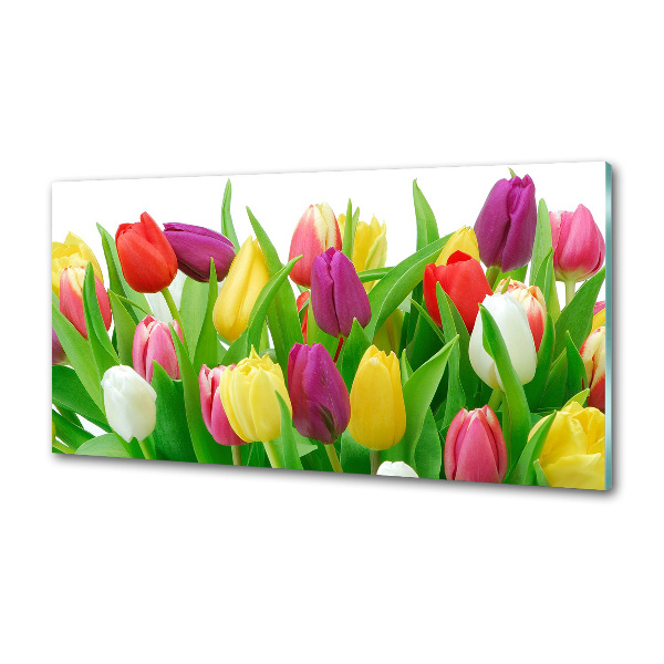 Cooker splashback Colorful tulips