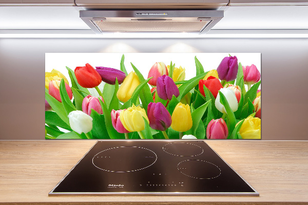 Cooker splashback Colorful tulips