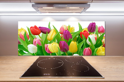 Cooker splashback Colorful tulips