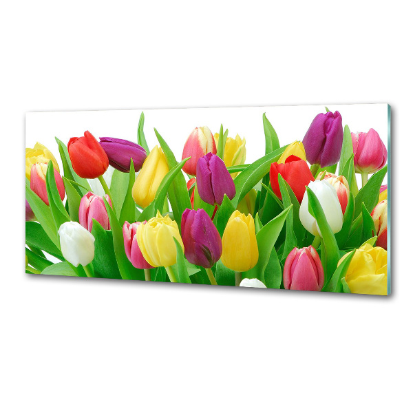 Cooker splashback Colorful tulips