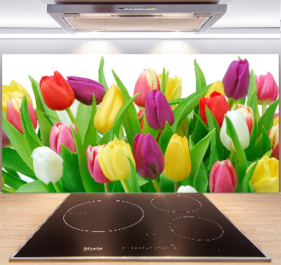 Cooker splashback Colorful tulips