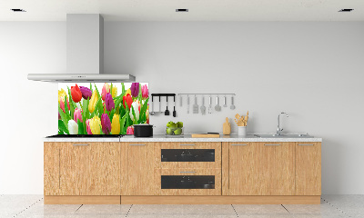 Cooker splashback Colorful tulips