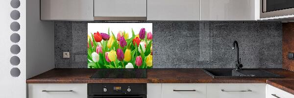 Cooker splashback Colorful tulips