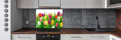 Cooker splashback Colorful tulips