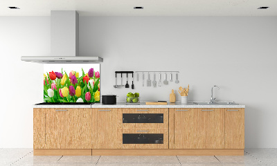 Cooker splashback Colorful tulips