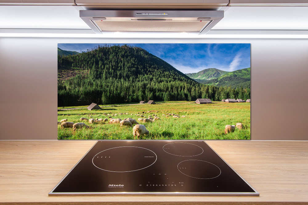 Kitchen splashback Sheep in the Tatra Mountains