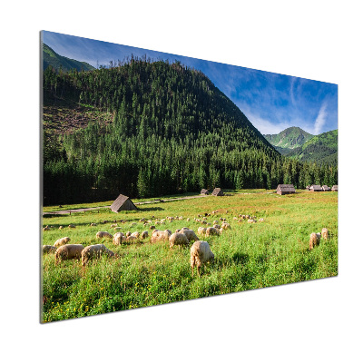 Kitchen splashback Sheep in the Tatra Mountains