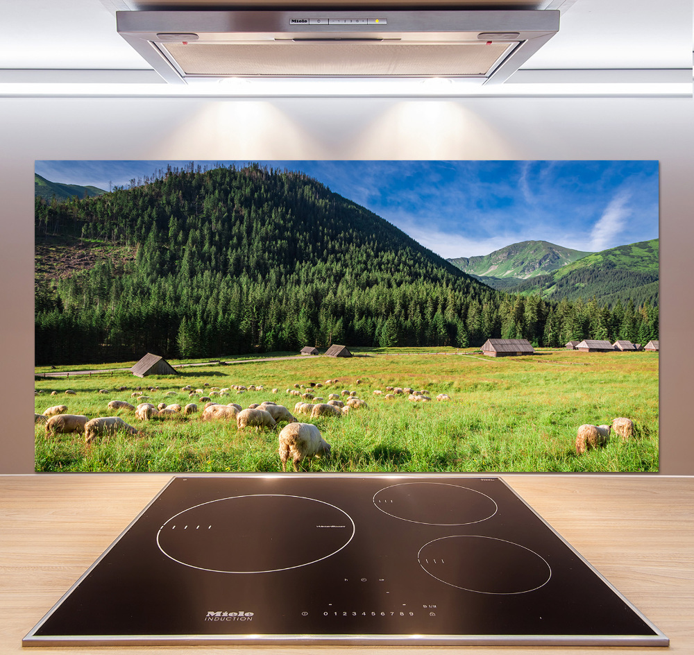 Kitchen splashback Sheep in the Tatra Mountains