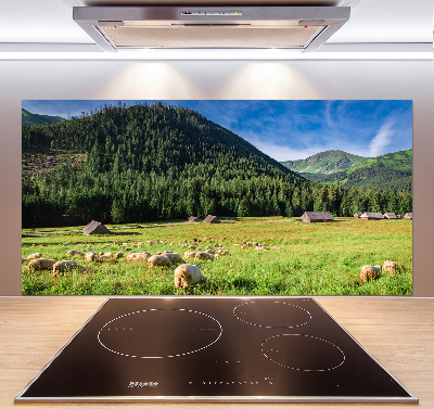 Kitchen splashback Sheep in the Tatra Mountains