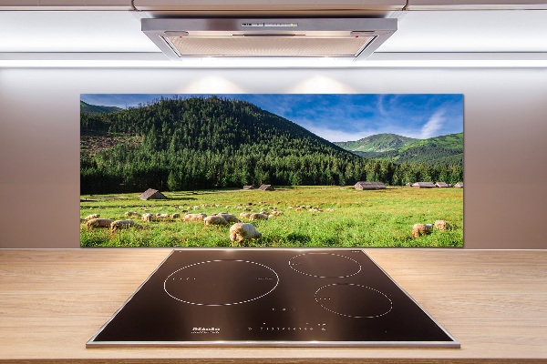 Kitchen splashback Sheep in the Tatra Mountains