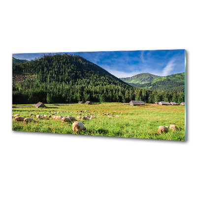 Kitchen splashback Sheep in the Tatra Mountains