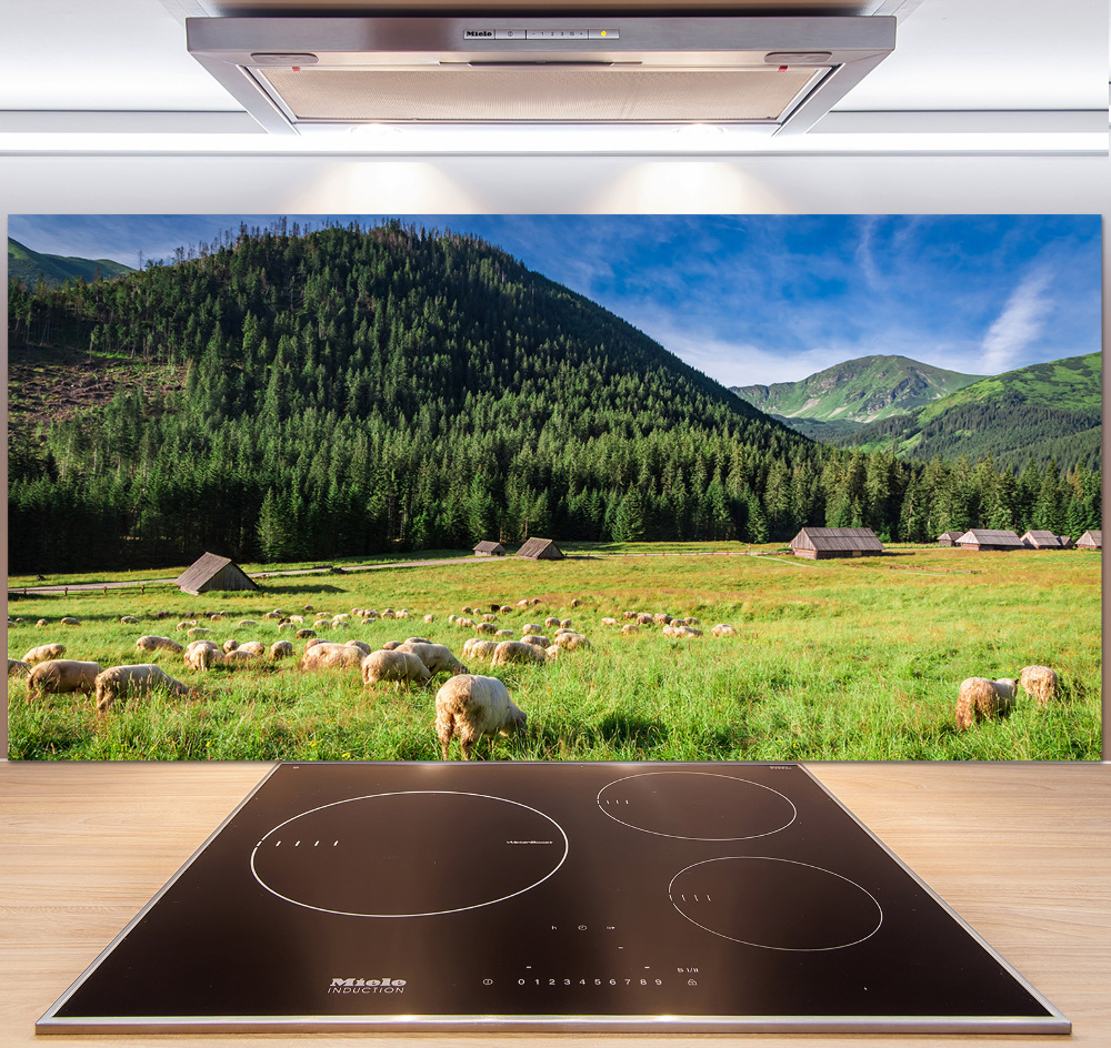 Kitchen splashback Sheep in the Tatra Mountains