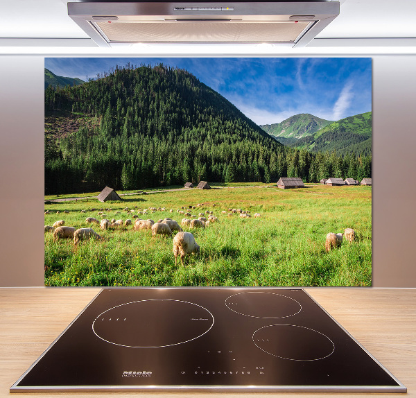 Kitchen splashback Sheep in the Tatra Mountains