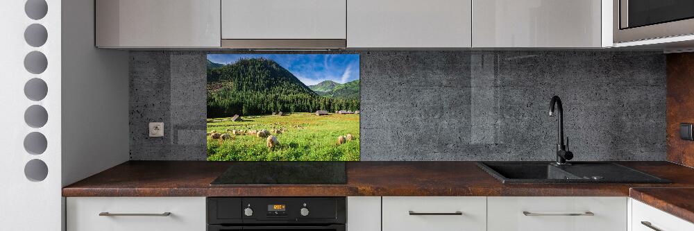 Kitchen splashback Sheep in the Tatra Mountains