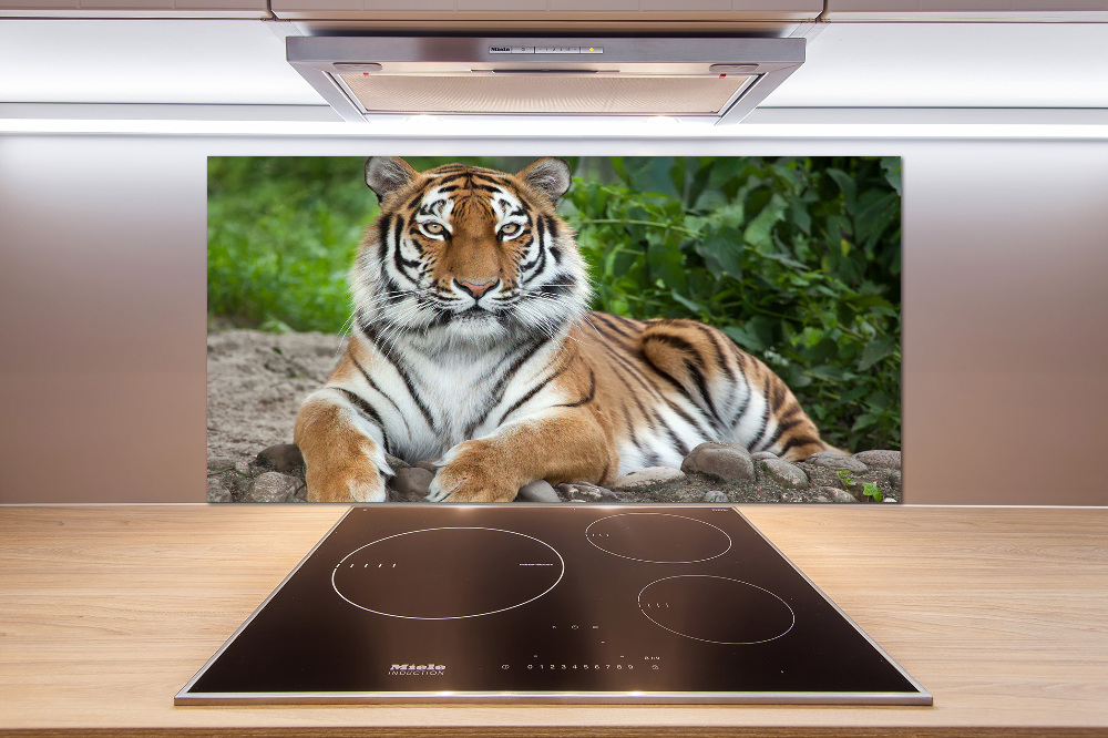 Cooker splashback Siberian tiger