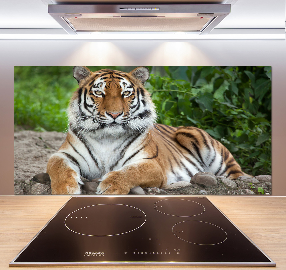 Cooker splashback Siberian tiger