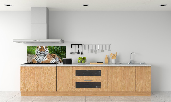 Cooker splashback Siberian tiger