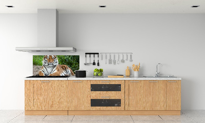 Cooker splashback Siberian tiger