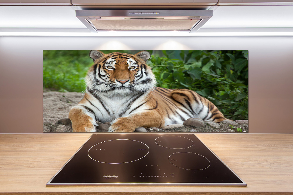 Cooker splashback Siberian tiger