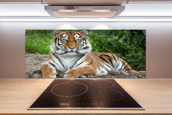 Cooker splashback Siberian tiger