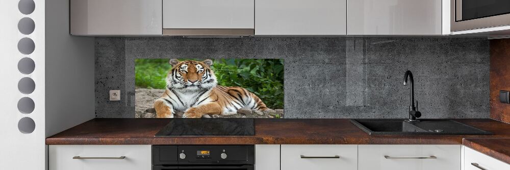 Cooker splashback Siberian tiger