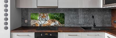 Cooker splashback Siberian tiger