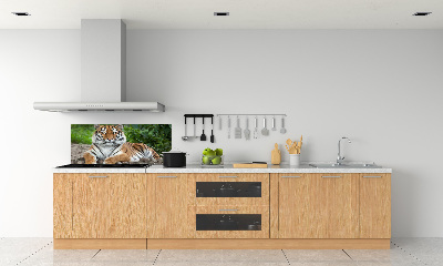 Cooker splashback Siberian tiger