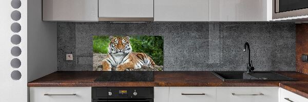 Cooker splashback Siberian tiger