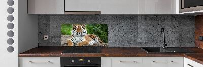 Cooker splashback Siberian tiger